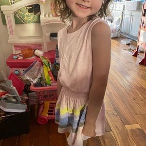 Splendid Pink Dress with Stripes